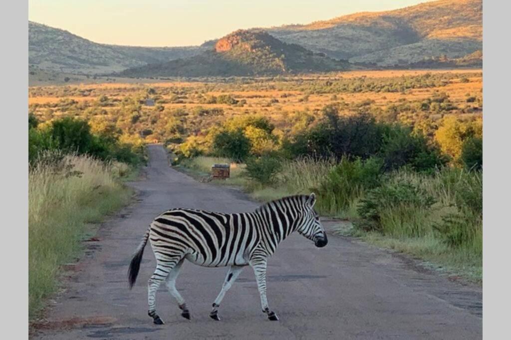 Rhino House With 3 Bedrooms Next To Pilanesberg And Sun City Mogwase 外观 照片