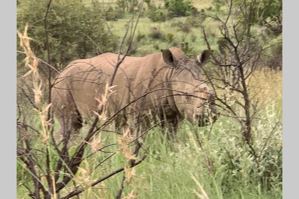 Rhino House With 3 Bedrooms Next To Pilanesberg And Sun City Mogwase 外观 照片